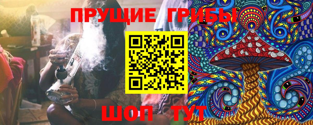 Татарск  Псилоцибиновые грибы мицелий  Вход с VPN 